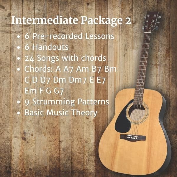 Groove with the Guitar Guitar Lessons Intermediate Package 2 1